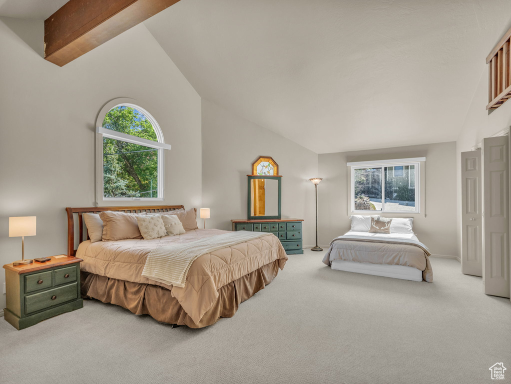 Carpeted bedroom with high vaulted ceiling