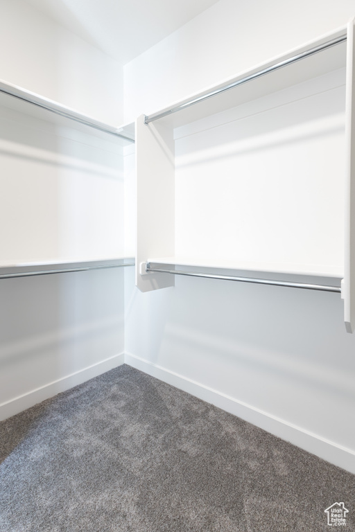 Spacious closet with carpet flooring