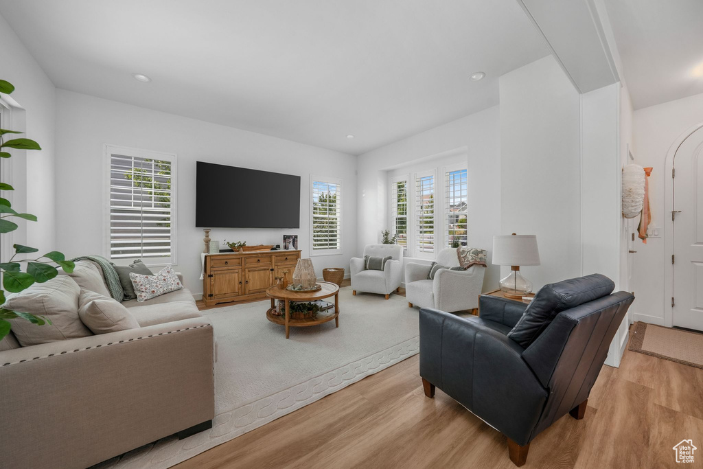 Living room featuring light wood-type flooring