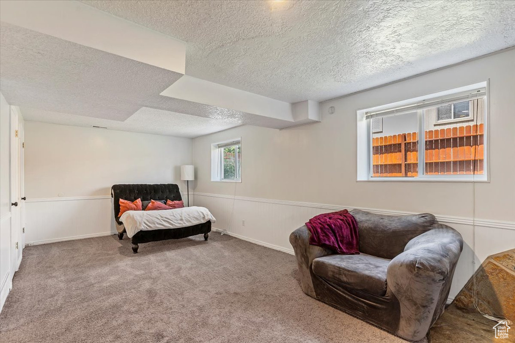 Living area with a textured ceiling, carpet, and a wainscoted wall