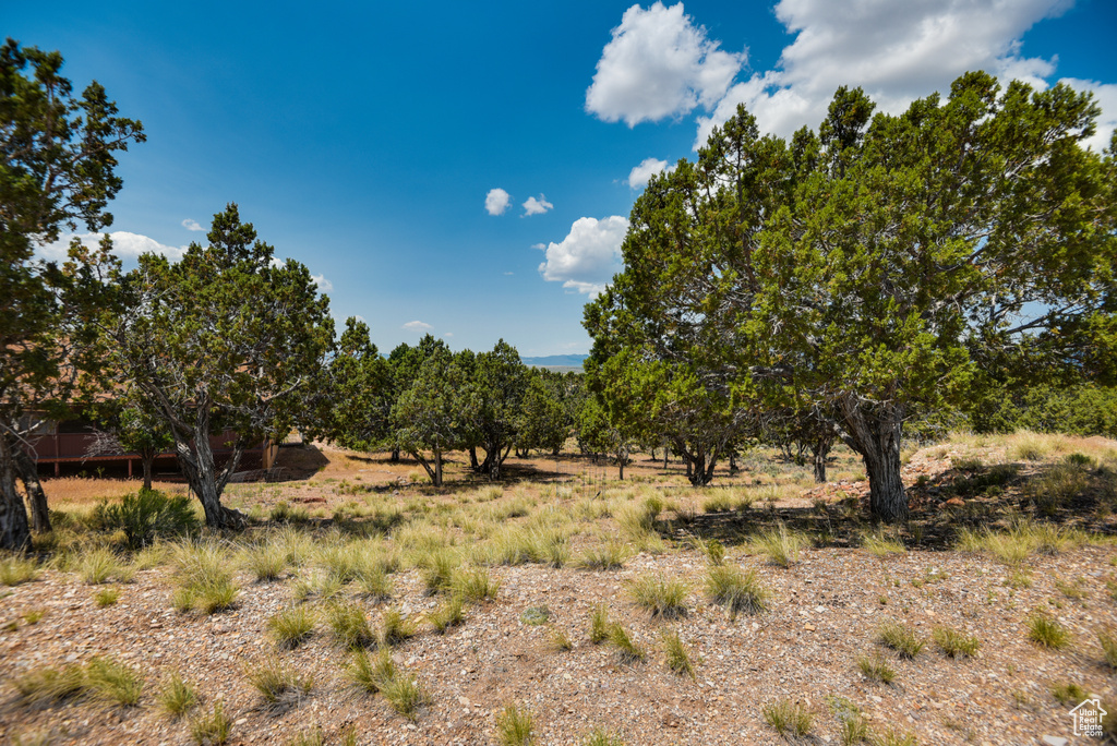 875 NORTH CREEK LOOP RD Beaver, UT 84713