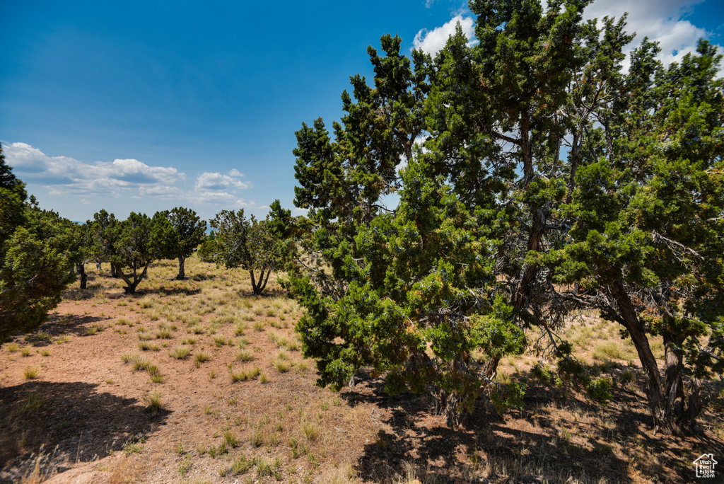 875 NORTH CREEK LOOP RD Beaver, UT 84713