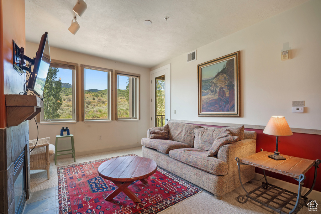 Living area featuring carpet flooring and a fireplace