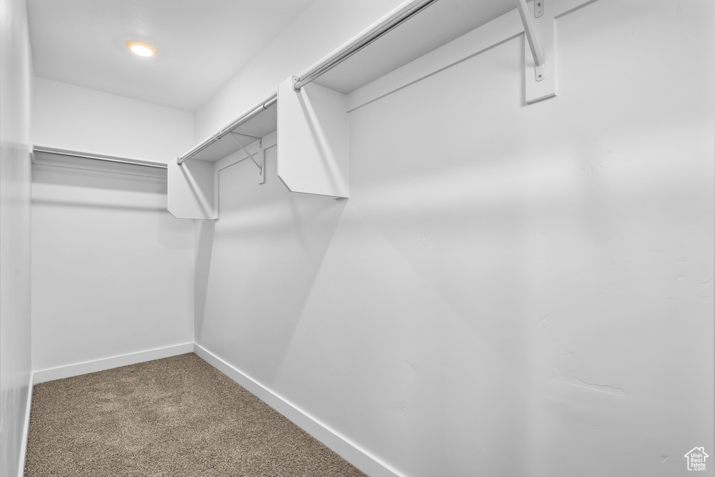 Spacious closet featuring carpet flooring