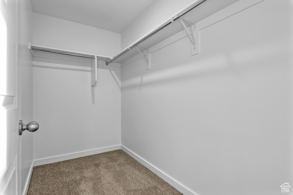 Walk in closet featuring carpet