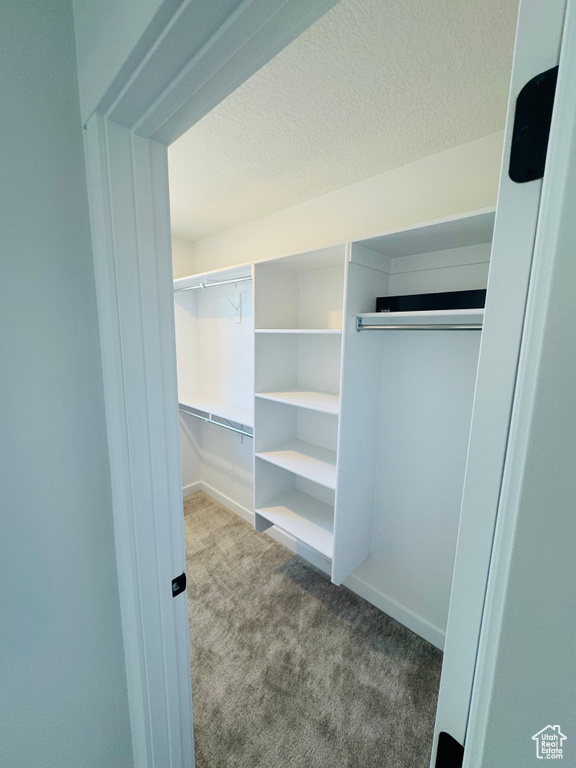 Walk in closet featuring carpet