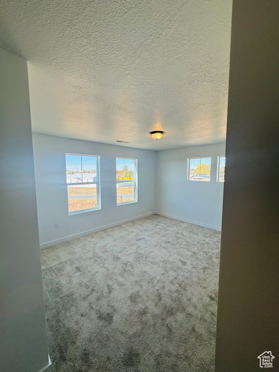 Empty room with plenty of natural light, carpet floors, and a textured ceiling