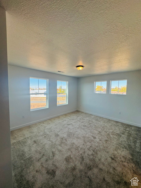 Unfurnished room with healthy amount of natural light, carpet flooring, and a textured ceiling
