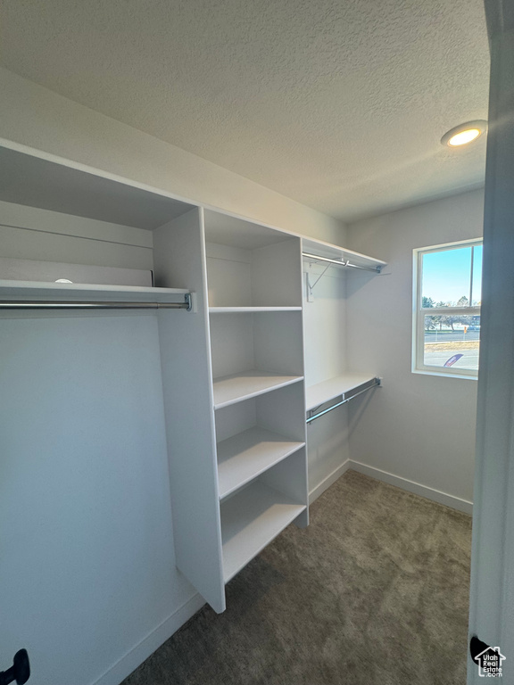 Spacious closet featuring dark colored carpet
