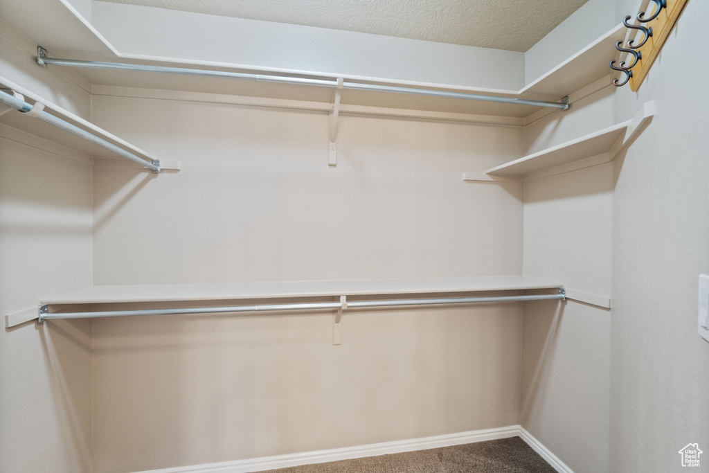 Spacious closet with carpet