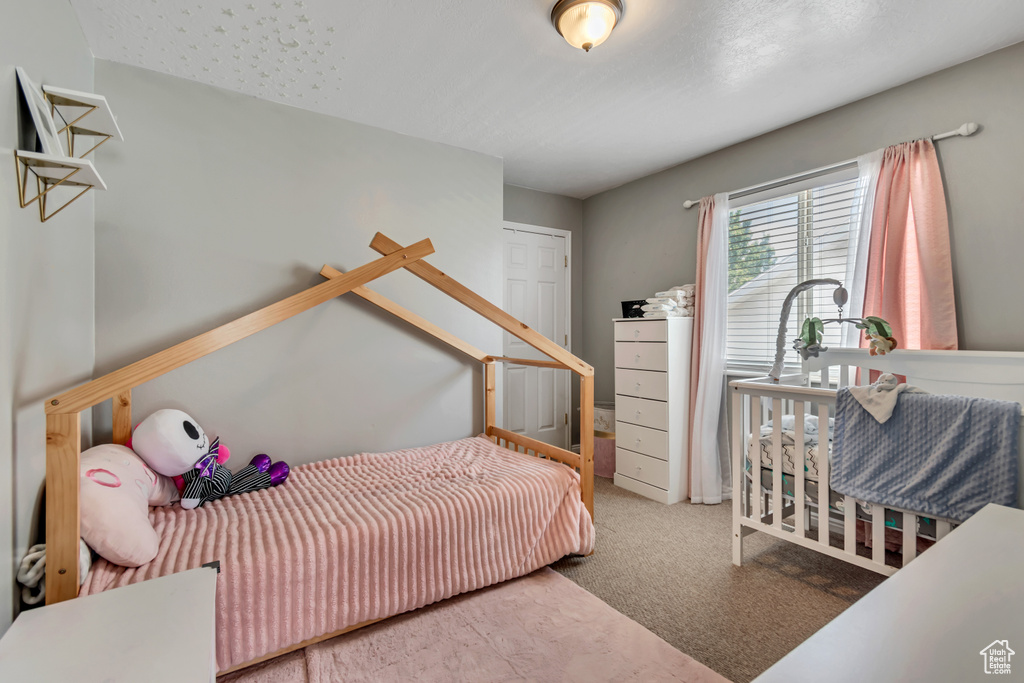 244 W VINEYARD WAY Saratoga Springs, UT 84045
