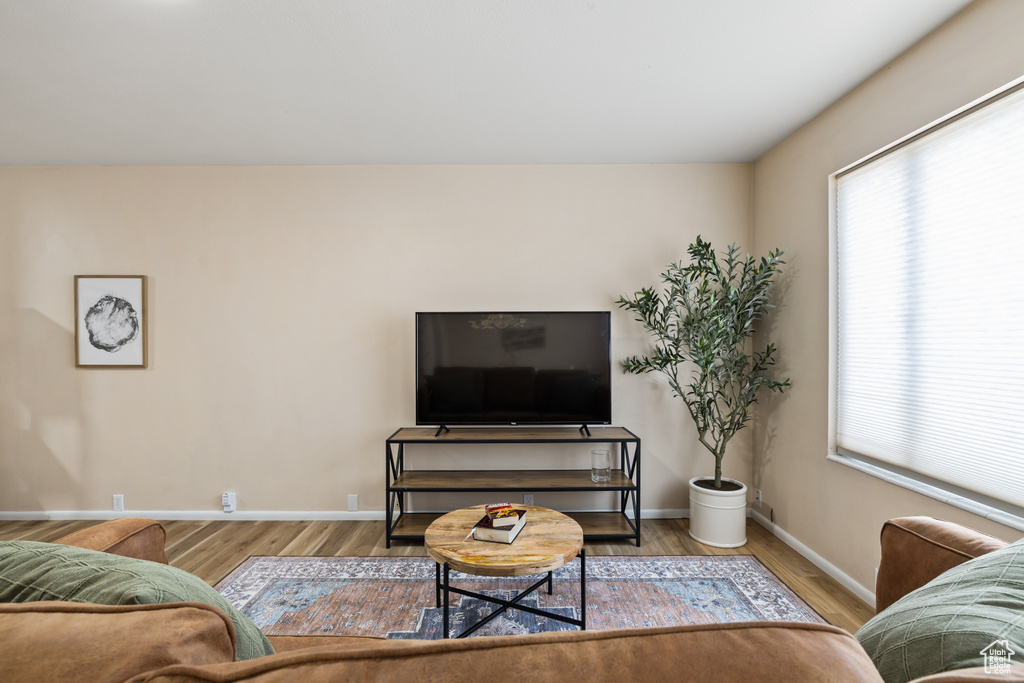 Living room featuring plenty of natural light and wood finished floors