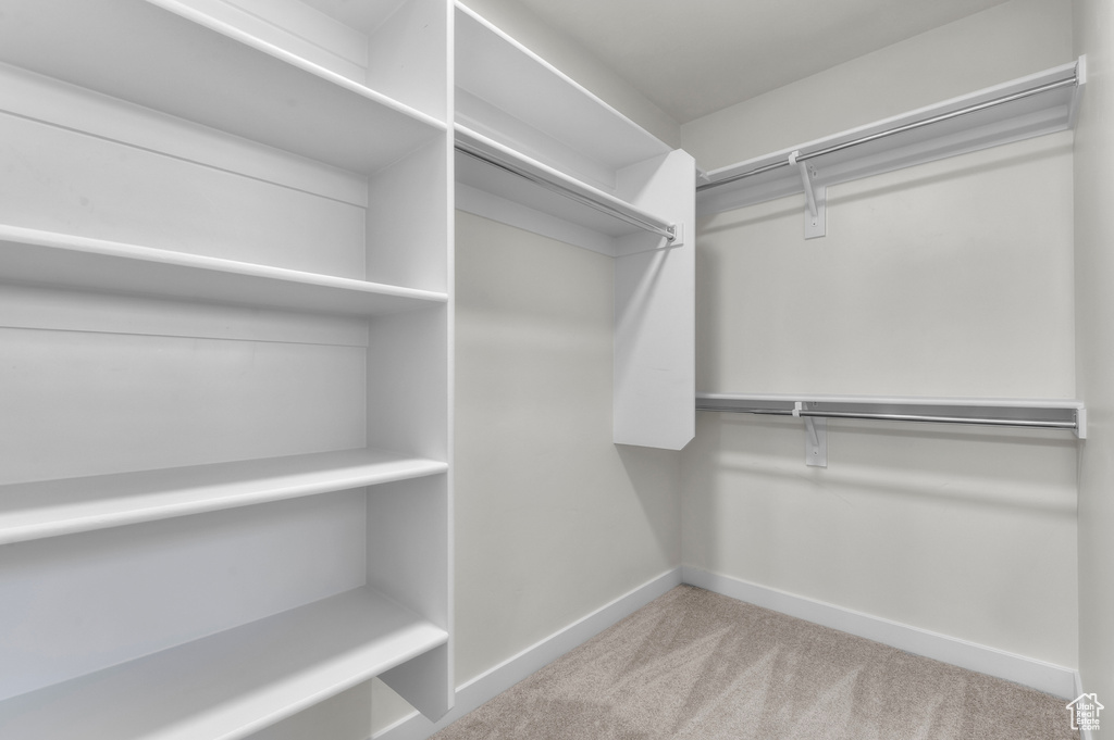 Spacious closet featuring carpet