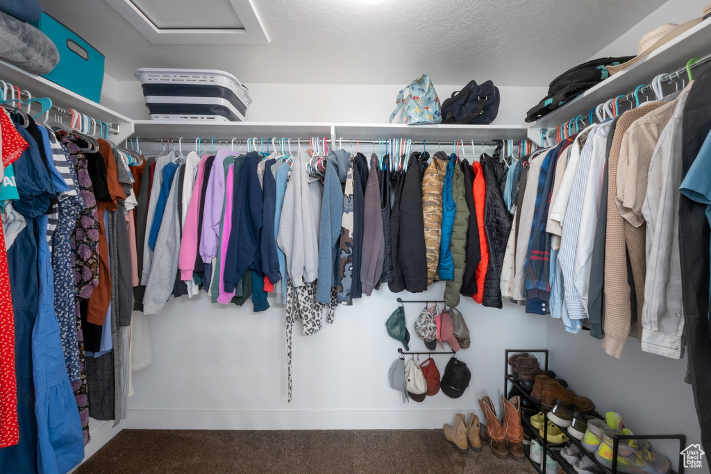 Spacious closet featuring attic access and carpet floors