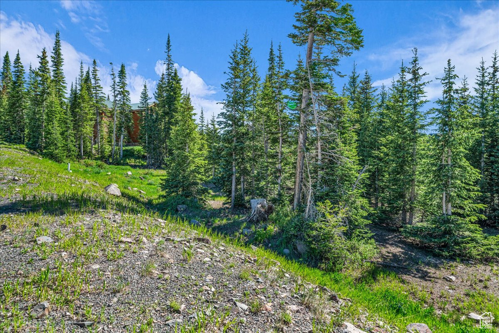 Photo 4 for MLS #2095590 at 731 E Autumn Dr