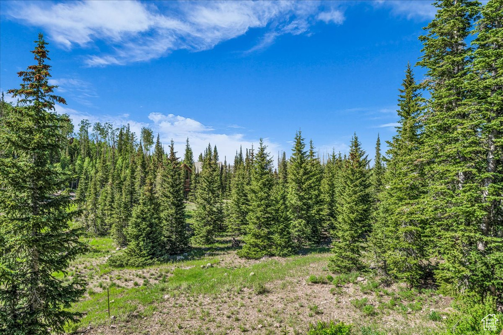 Photo 8 for MLS #2095590 at 731 E Autumn Dr