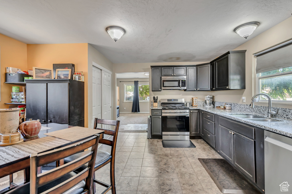 2752 S 9150 W Magna, UT 84044