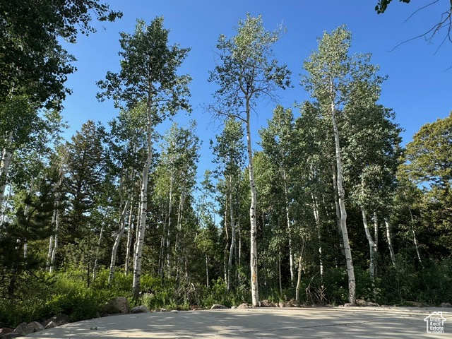 10861 E FIR RUN DR #668 Heber City, UT 84032