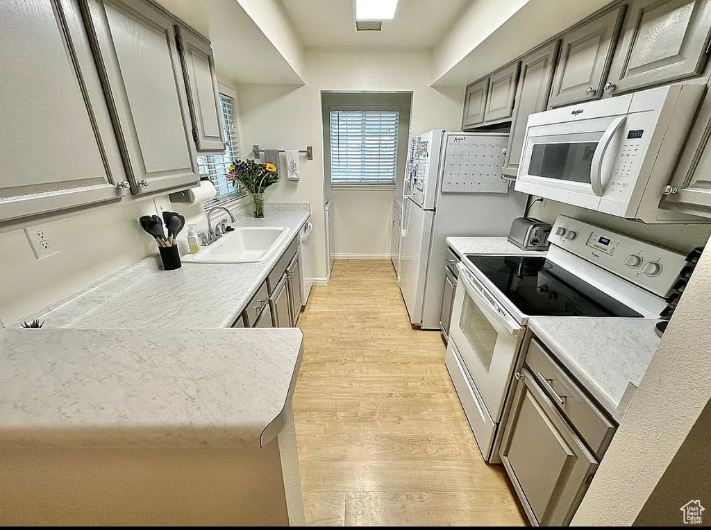 Kitchen featuring white appliances, light wood-style flooring, light countertops, and gray cabinetry