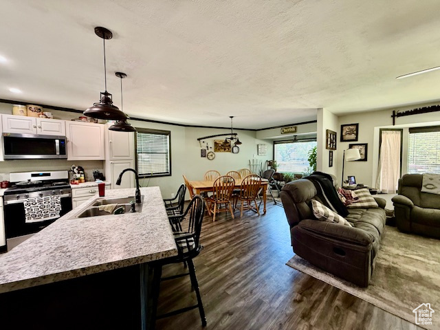 Kitchen with appliances with stainless steel finishes, open floor plan, white cabinetry, dark wood finished floors, and a kitchen breakfast bar