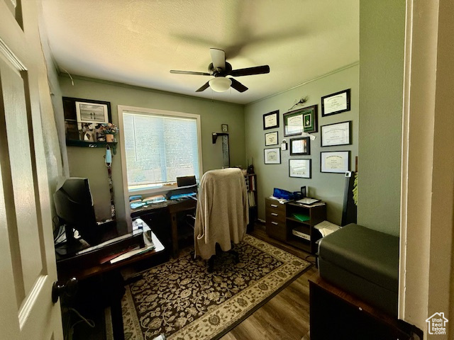 Office with wood finished floors and ceiling fan