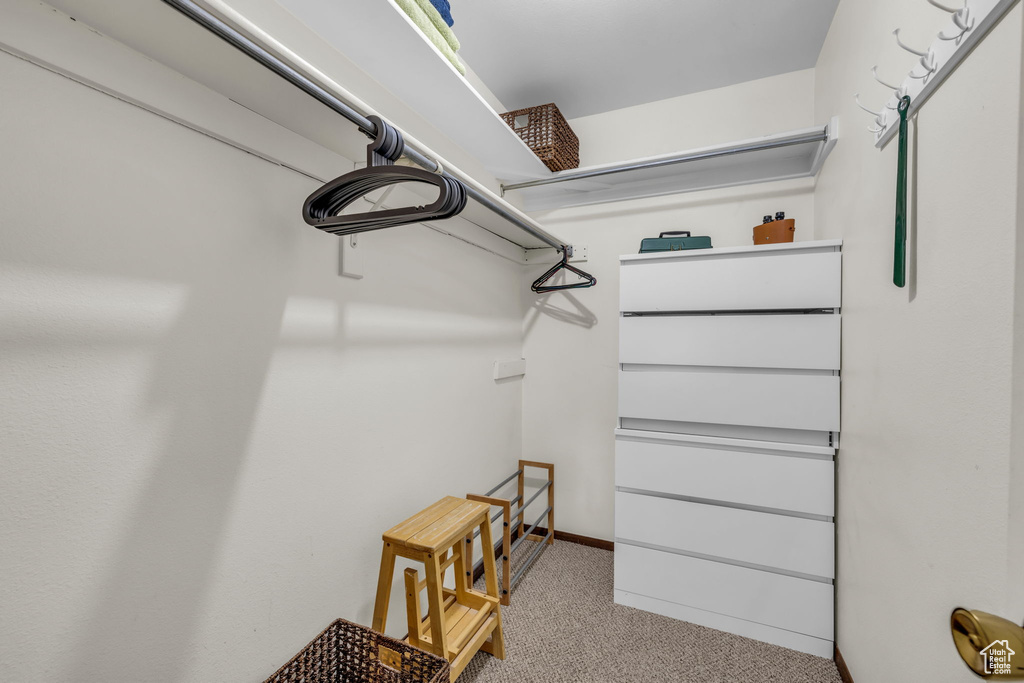 Spacious closet featuring carpet floors