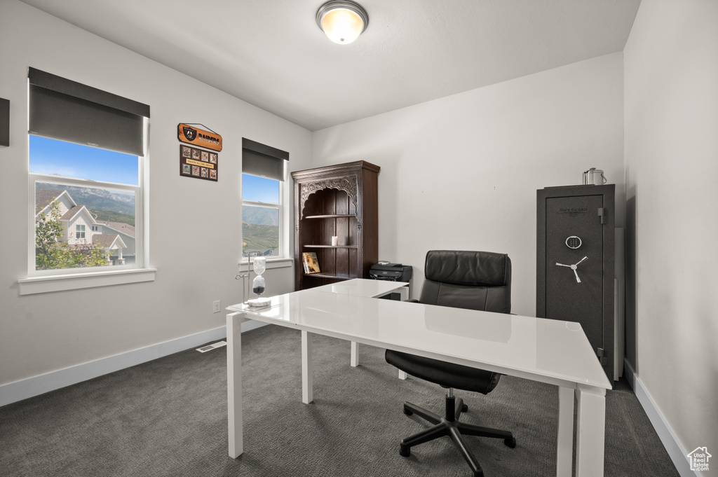 Home office with dark carpet and plenty of natural light