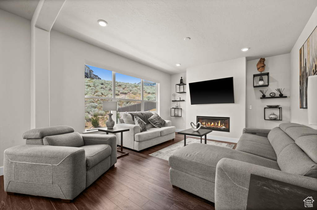 Living room with a glass covered fireplace, dark wood-style floors, and recessed lighting