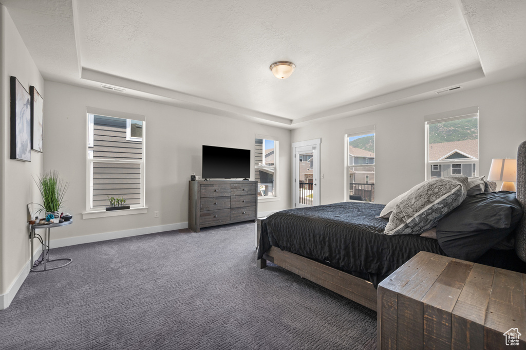 Bedroom featuring a raised ceiling and carpet