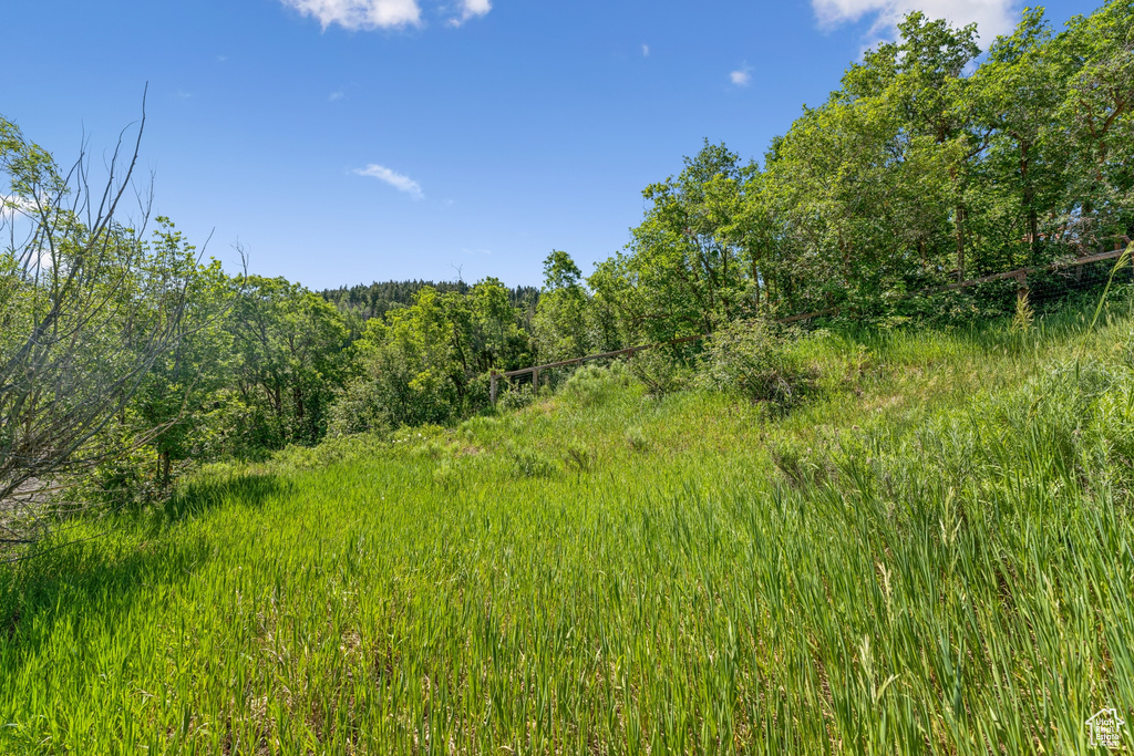 View of woods