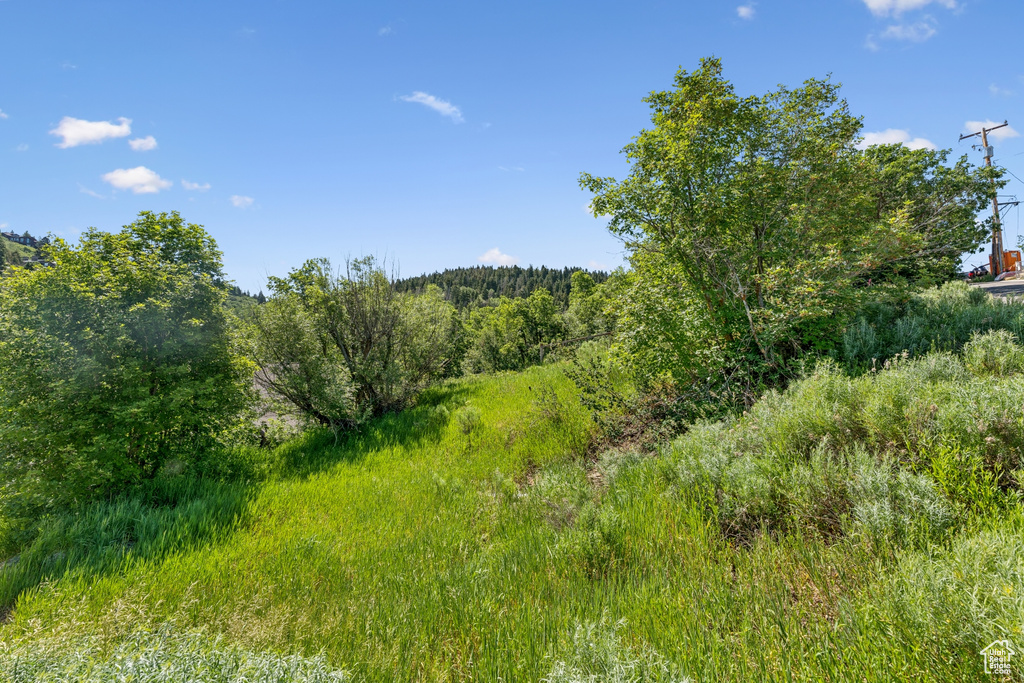View of wooded area