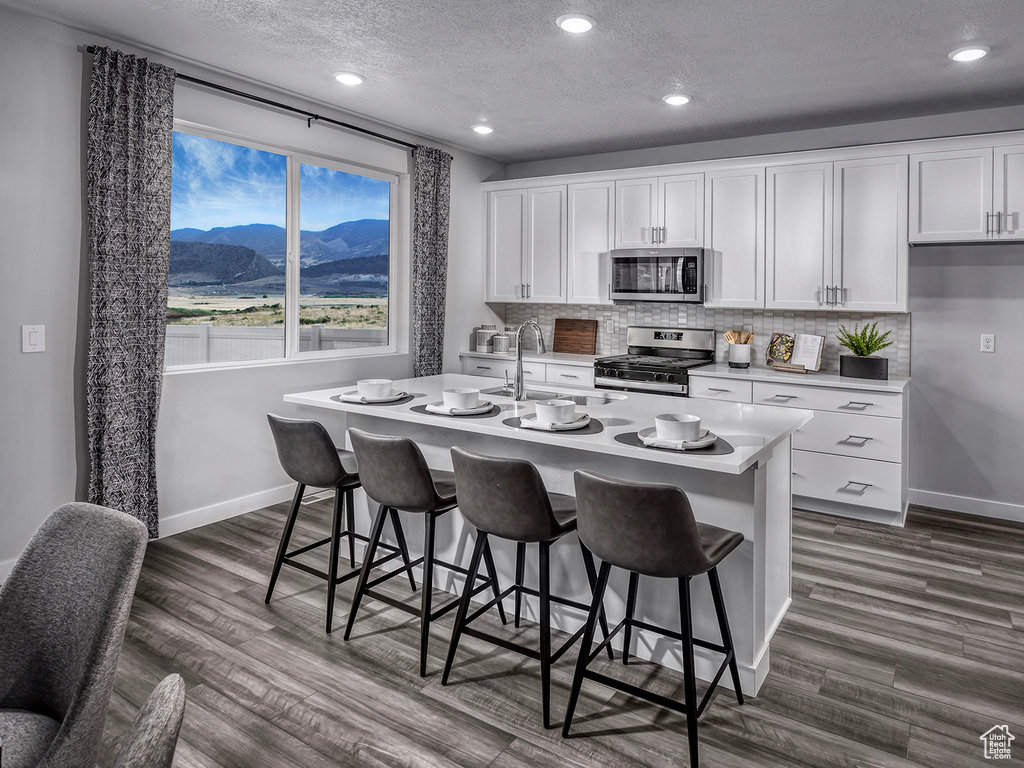 Kitchen featuring stainless steel appliances, backsplash, dark wood-style flooring, white cabinetry, and recessed lighting
