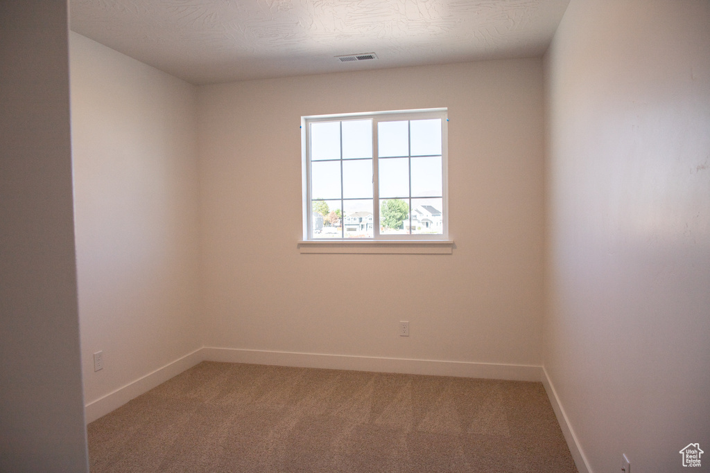 Unfurnished room with light carpet