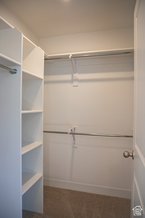 Walk in closet featuring carpet floors