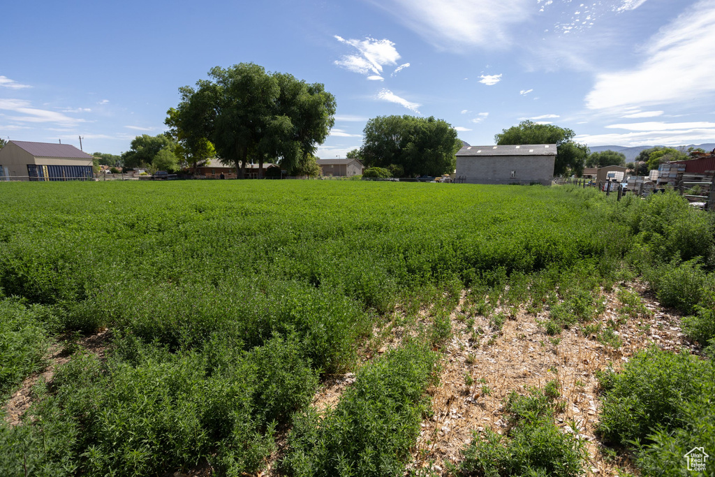 205 W 575 S Venice, UT 84701