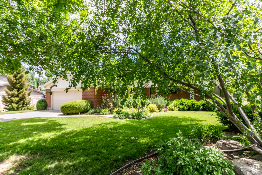 Obstructed view of property featuring brick siding, driveway, a front lawn, and an attached garage