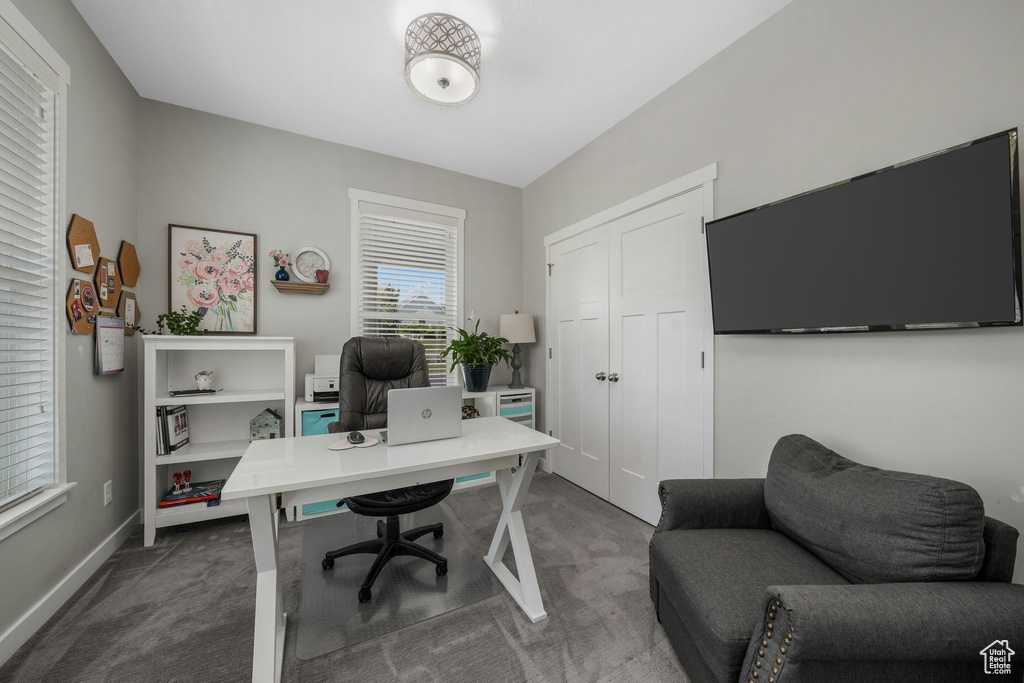 Home office featuring carpet flooring and baseboards