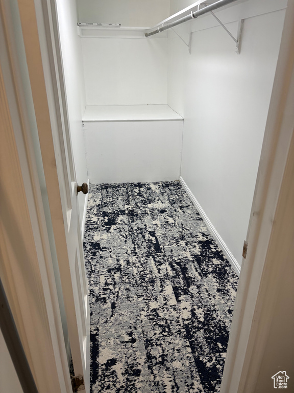 Walk in closet featuring carpet floors