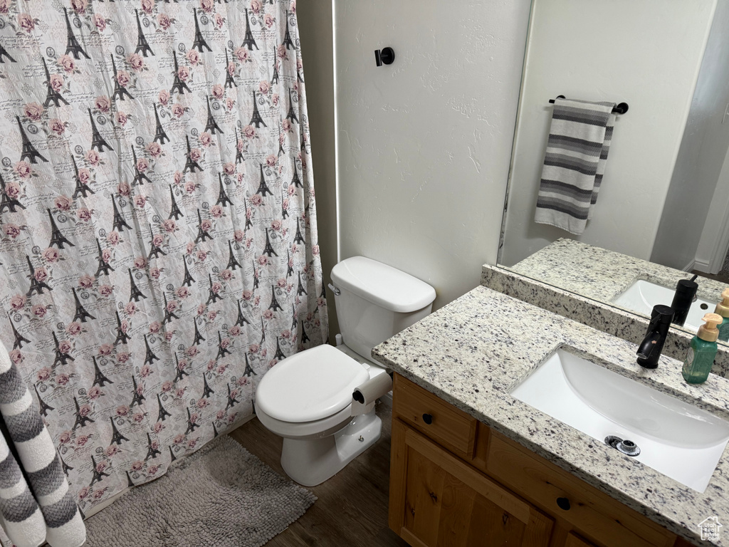 Full bathroom with wood finished floors, vanity, and curtained shower