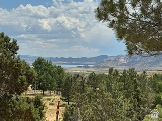 9 RED CIR Manila, UT 84046