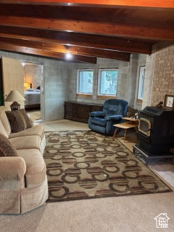 9 RED CIR Manila, UT 84046