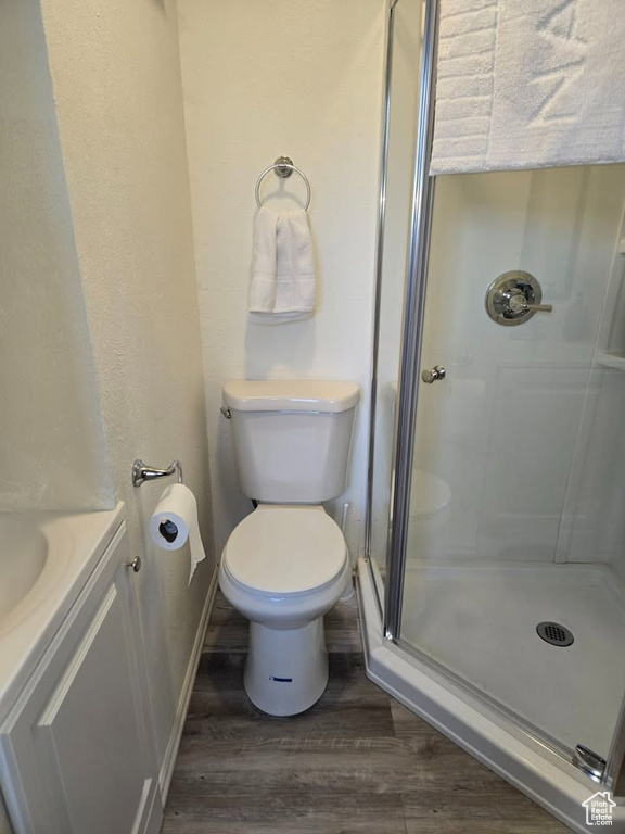 Full bathroom with a stall shower, wood finished floors, and vanity