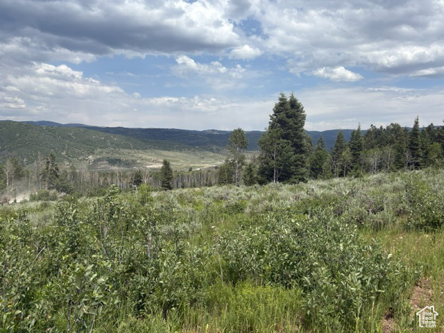 View of mountain backdrop