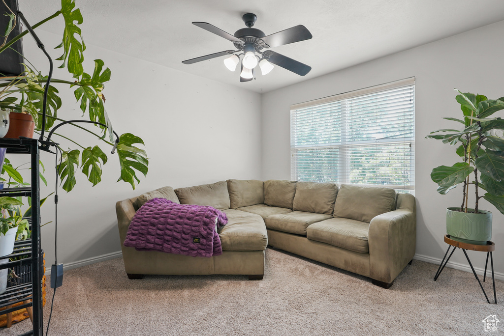 Living area with carpet and a ceiling fan