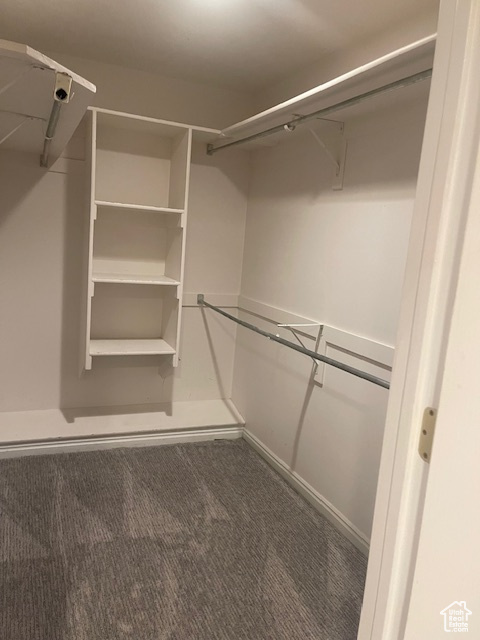 Walk in closet featuring carpet floors