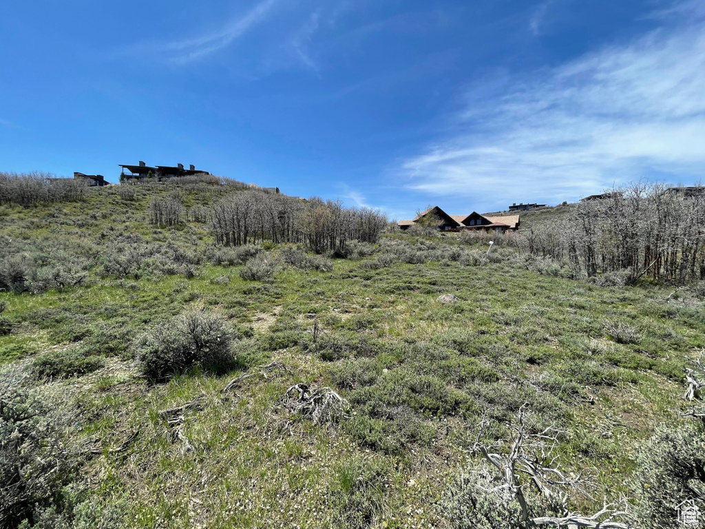 View of yard with a view of rural / pastoral area