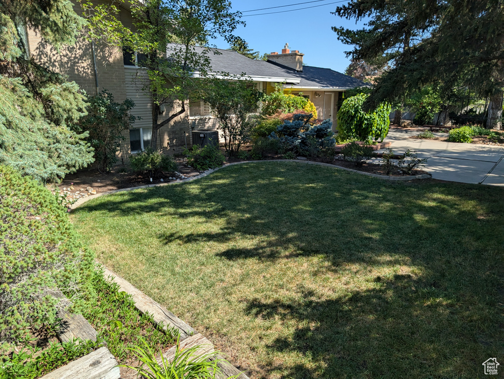 View of green lawn with concrete driveway