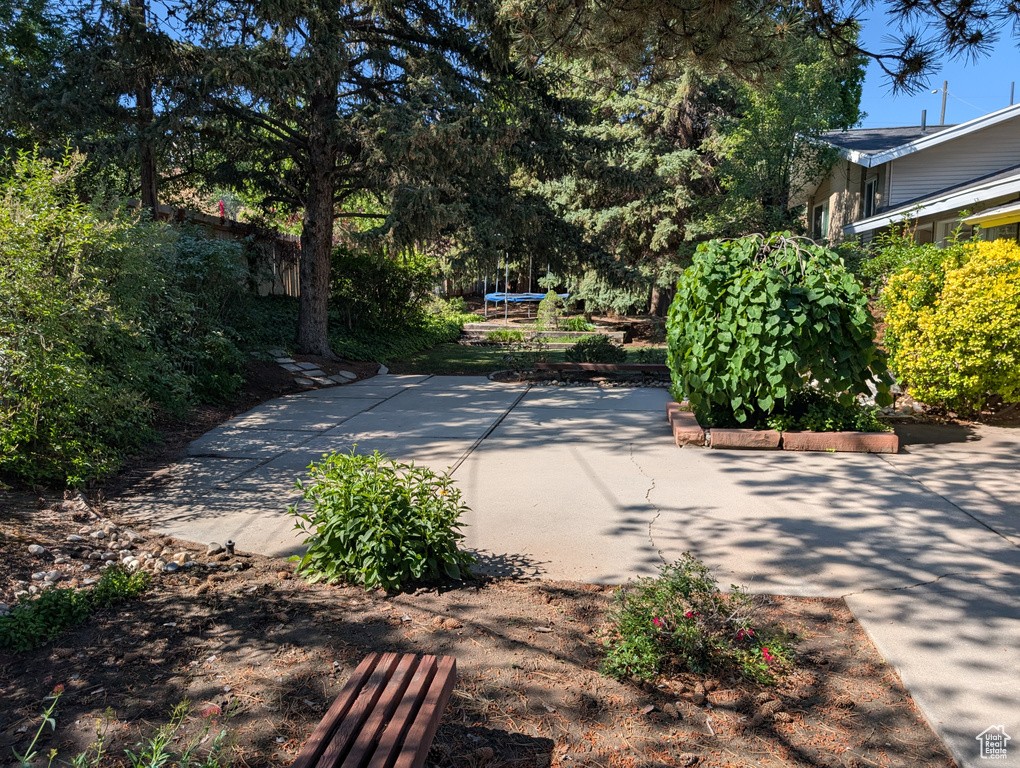 View of concrete driveway