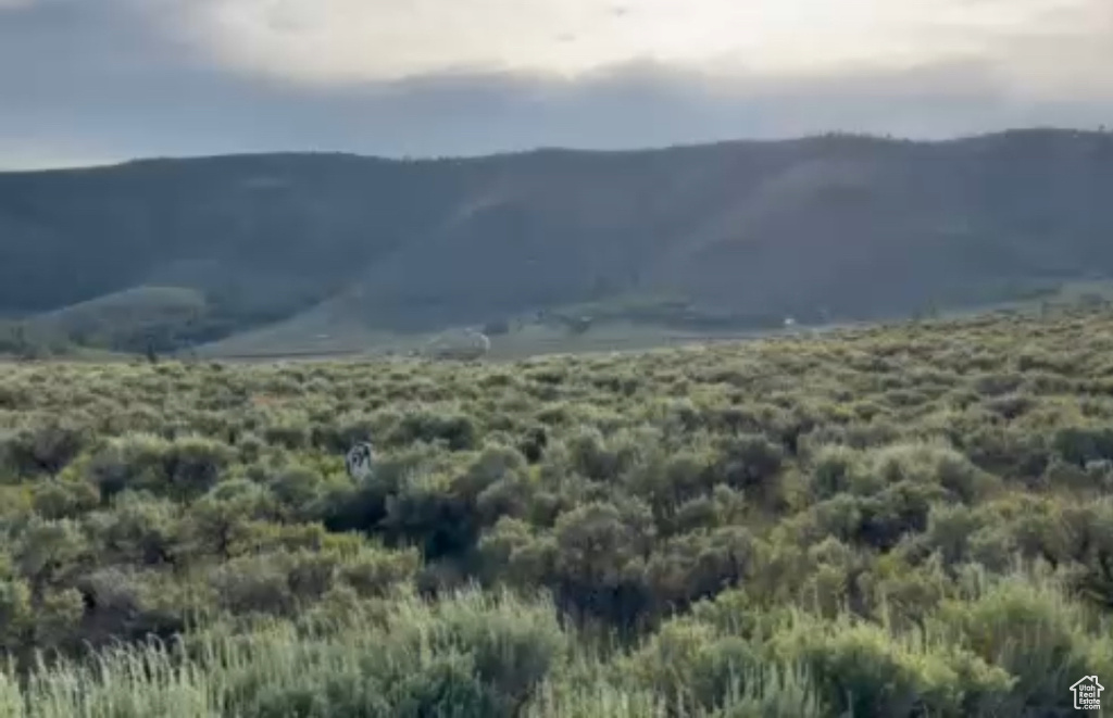 124  ASPEN COVE DR Scofield, UT 84526