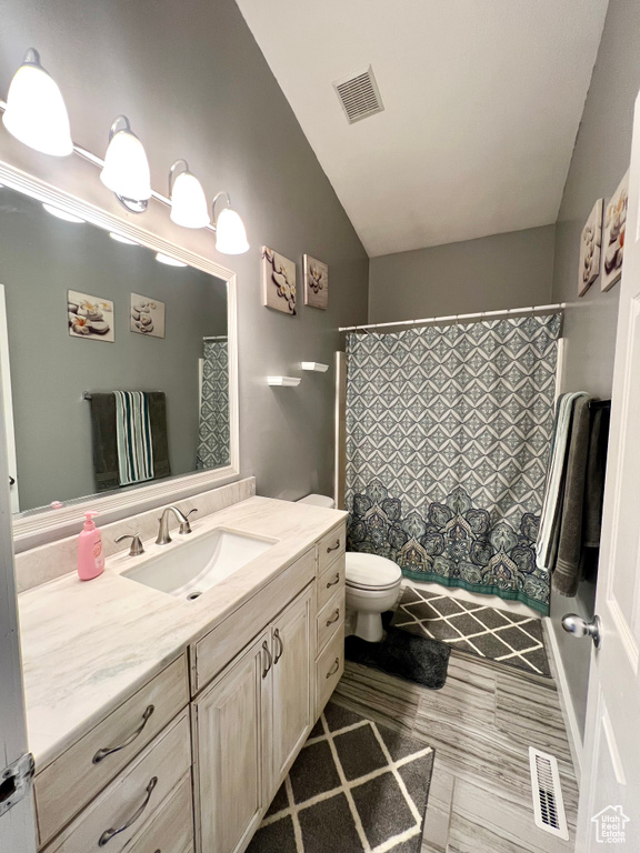 Bathroom featuring vanity, vaulted ceiling, and a shower with shower curtain